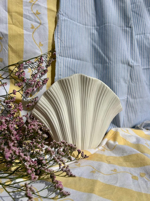 Vase coquillage