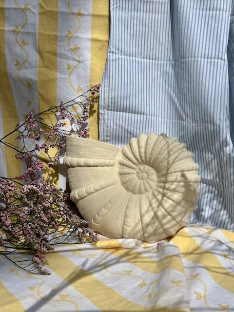 Vase coquillage