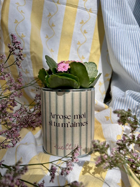 Pot "Arrose moi si tu m'aimes"